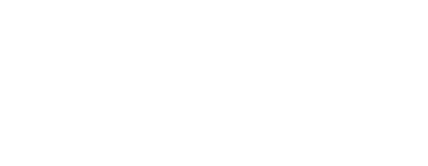 Digital Moon Agency